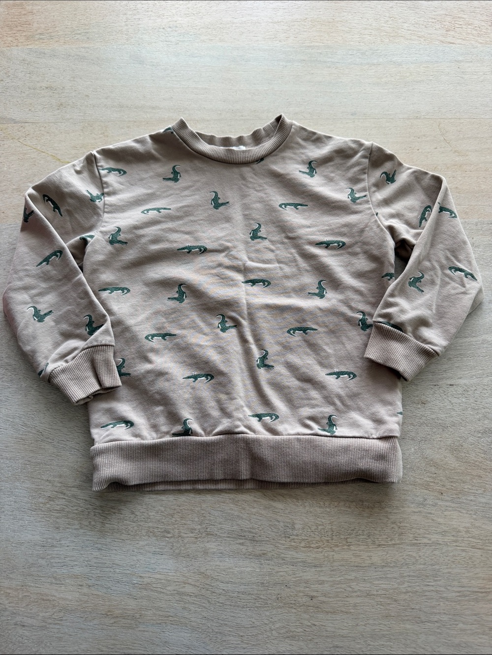 Kids' Crewneck Sweatshirt with Green Alligator Print - Beige